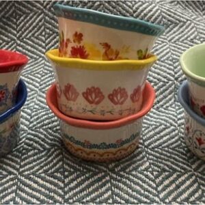Pioneer Woman Floral Medley 7-piece Ramekin Set